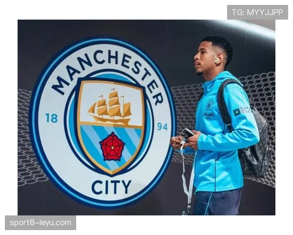 德甲夏窗重磅引援频出，明星球员纷纷加盟新东家，多队阵容大洗牌迎战新赛季