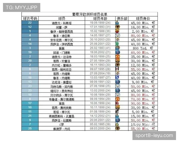 捷克队表现稳健，成功晋级2024年欧洲杯