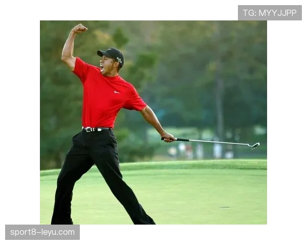 泰格·伍兹今天穿的球鞋，比我全家的鞋还贵，真是活生生的土豪范儿啊！